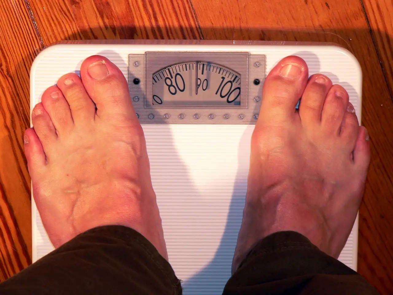 体脂肪率や基礎代謝量などの体組成を理解して、ダイエットへの近道!