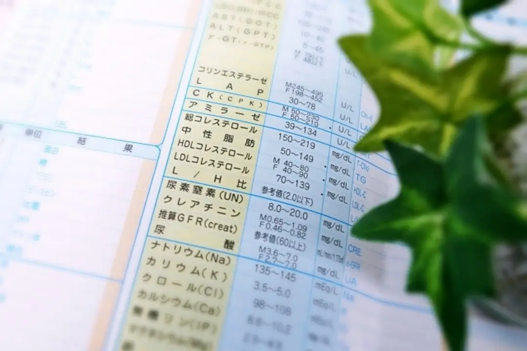 コレステロールに要注意!知っておこう、脂質異常症!